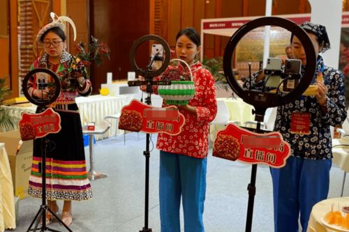 红星观察丨主播经纪首度纳入行政监管，《网络表演经纪机构管理办法》征求意见稿解读